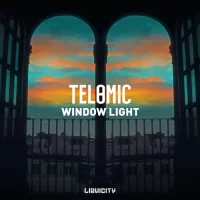 Telomic feat. Anastasia - Window Light
