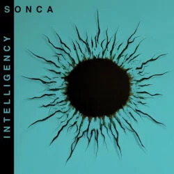 Intelligency - Sonca