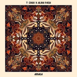 t-Zhuk & Alina Pash - Amaga