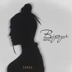 SANSA - Відчуй (Dubinski Remix)