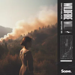 SwitchBlade & Before 95 - Wildfire