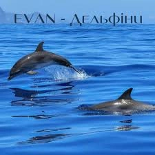 Evan - Дельфіни