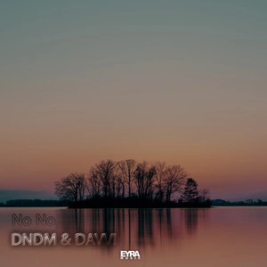 DNDM feat. Davvi - No No