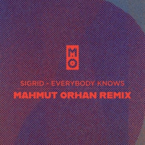 Mahmut Orhan - Everybody Knows (Remix)