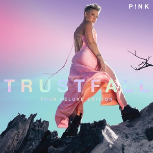 P!nk- All Out Of Fight