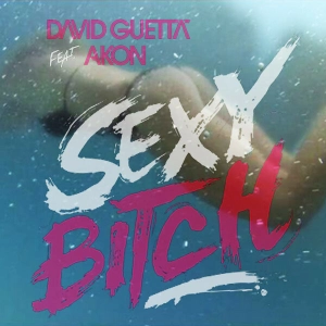 David Guetta & Akon - Sexy Btch (TikTok Rave Techno Remix)