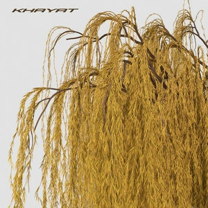 Khayat - В Кінці Греблі Шумлять Верби
