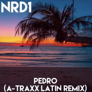 Nrd1 - Pedro (A-traxx Latin Remix)