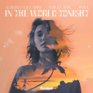 Alberto Ciccarini & Bailey Jehl & Poul - In The World Tonight