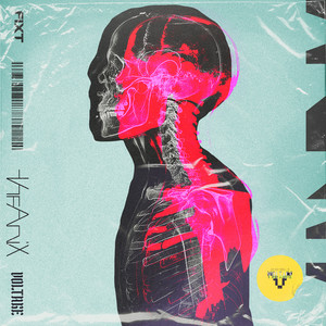 The Anix - XRAY
