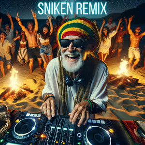 Alfons & HOURS & Tony Koma & Sniken - I Like The Way (Sniken Remix)