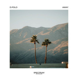 D Polo - Away