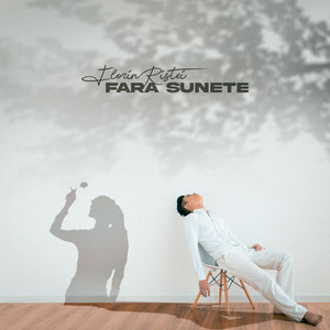 Florin Ristei - Fara Sunete
