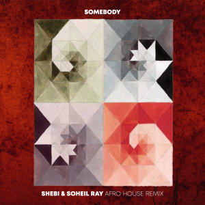 Gotye & Kimbra - Somebody (Shebi & Soheil Ray Afro House Remix)