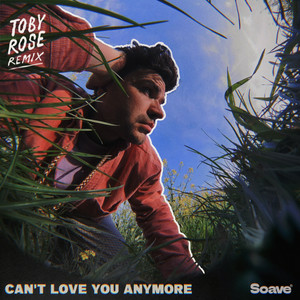 Henry And The Waiter - Can't Love You Anymore (Toby Rose Remix)