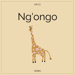MD Dj & Sebba - Ng'ongo