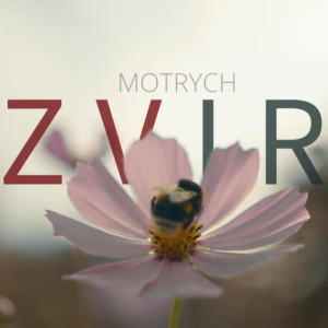 Motrych - Звір