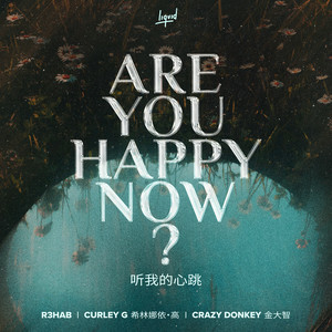 R3HAB & Curley G & Crazy Donkey - Are You Happy Now