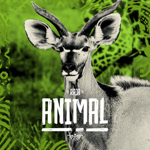 RAJA - Animal