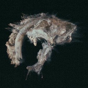 Spor - Sabretooth