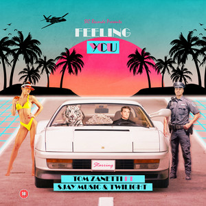 Tom Zanetti & Twilight - Feeling You (feat. SJAY Music)