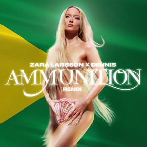 Zara Larsson - Ammunition (DENNIS Remix)