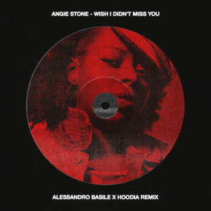 Angie Stone - Wish I Didn't Miss You (Alessandro Basile & Hoodia Remix)