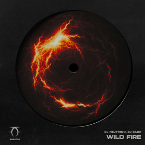 DJ Nejtrino & Dj Baur - Wild Fire