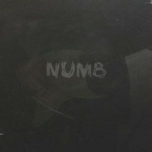 Linkin Park - Numb (TAIMANOVA UA cover)