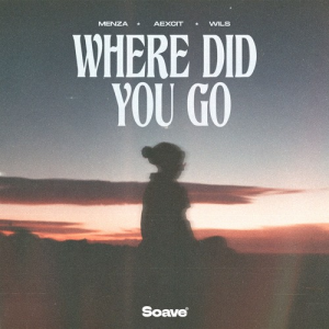 Menza & Aexcit - Where Did You Go (feat. WILS)