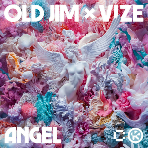 Old Jim & VIZE - Angel