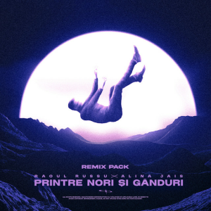 Raoul Russu & Alina Jais - Printre nori si ganduri (BRYZ Remix)