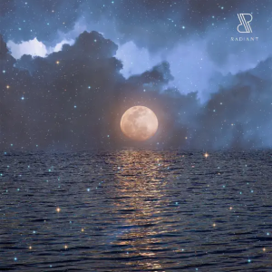 Rony Seikaly & Infinem - Temperatura (Original Mix)