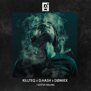 KILLTEQ & D.HASH & DØMIEX - I Gotta Feeling