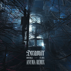 Dom Dolla & Daya - Dreamin (Anyma Remix)