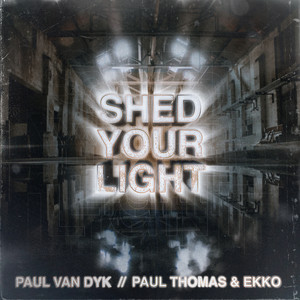Paul Van Dyk & Paul Thomas & Ekko - Shed Your Light (Radio Mix)