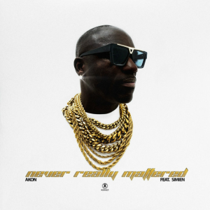 Akon - Never Really Mattered (feat. SIMIEN)
