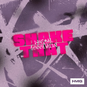 Danimal & Sonny Wern - Shake That