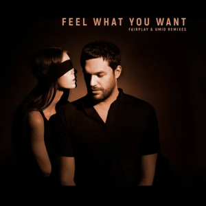 Phonique & Rebecca - Feel What You Want (Fairplay Remix)