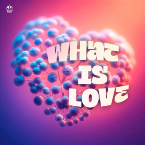 SYNFLO & Niki Four - What Is Love
