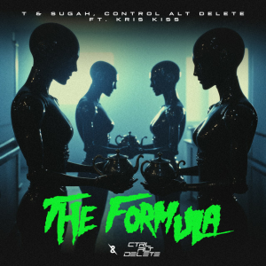 T & Sugah & Control Alt Delete & Kris Kiss - The Formula