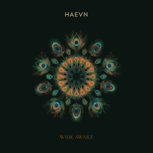 HAEVN & Lily Meola - Till the Morning