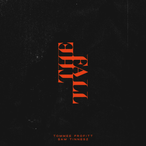 Tommee Profitt & Sam Tinnesz - Daylight