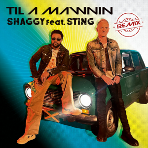 Shaggy & Sting - Til A Mawnin (Remix)