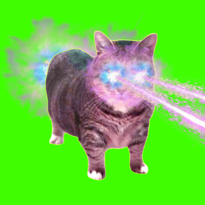 XertXetin - OIIA OIIA COSMIC Spinning CAT