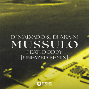 DJ Malvado & DJ Aka-m & & Doddy - Mussulo (unfazed Remix)