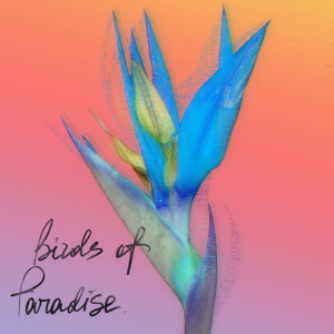 From:Ksusha & Yongue - Birds Of Paradise