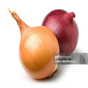 internetcafe247 - funny onion song
