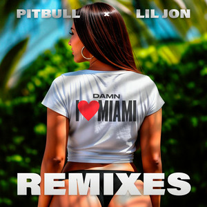 Pitbull & Lil Jon - Damn I Love Miami (JumpSmokers Remix)