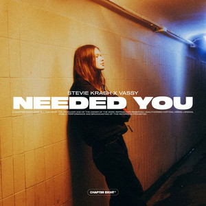 Stevie Krash & VASSY - Needed You